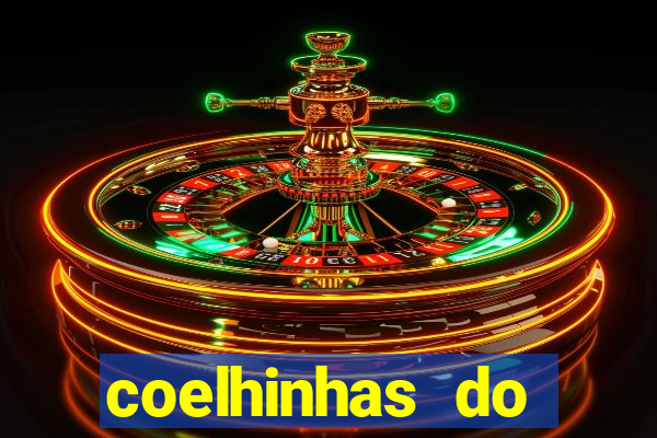 coelhinhas do brasil recife